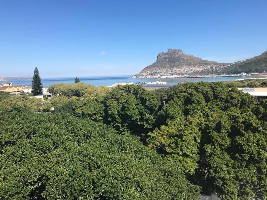 Apartamento Chapman'S Peak, Loft Mit Sea-Und Mountainview Hout Bay Exterior foto